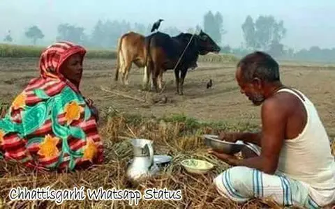 खेत जोतते हुए किसान 